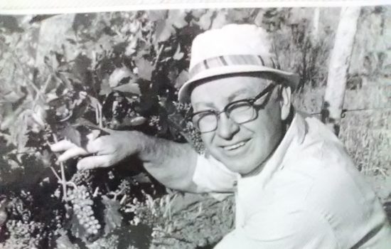 Dr. Cllint McPherson showing off grapes at Sagmor Vineyards