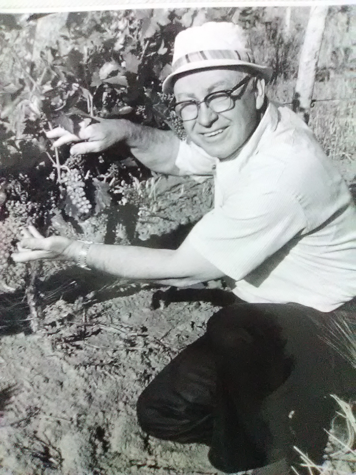 Dr. Cllint McPherson showing off grapes at Sagmor Vineyards